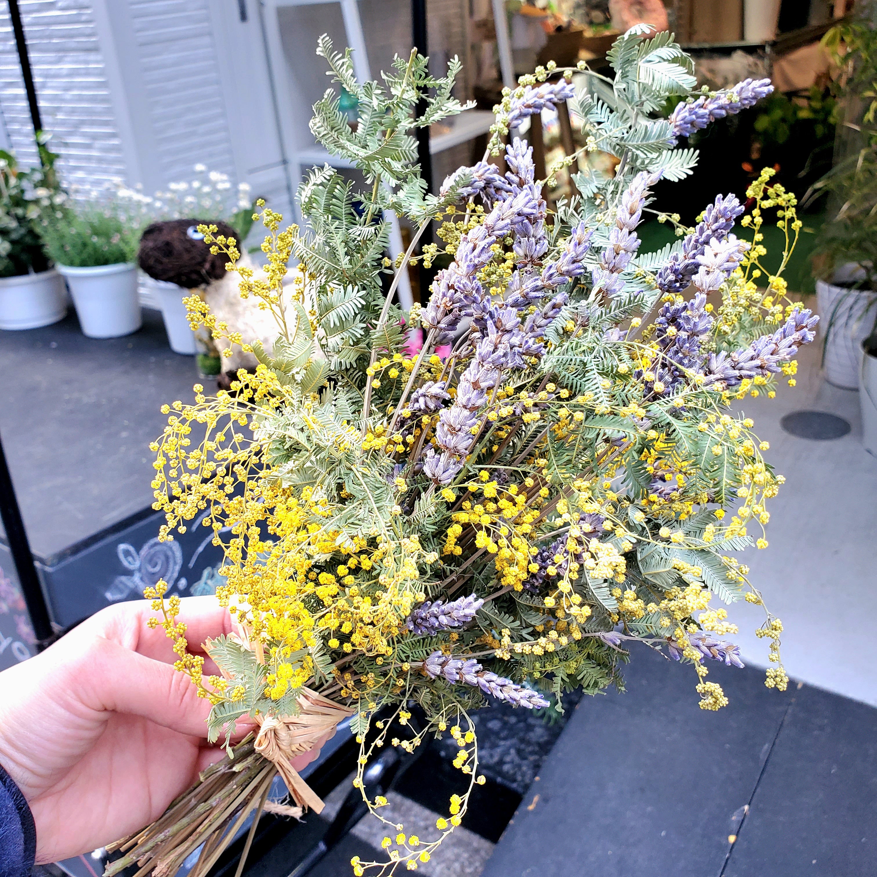 ミモザスワッグ | 猫花