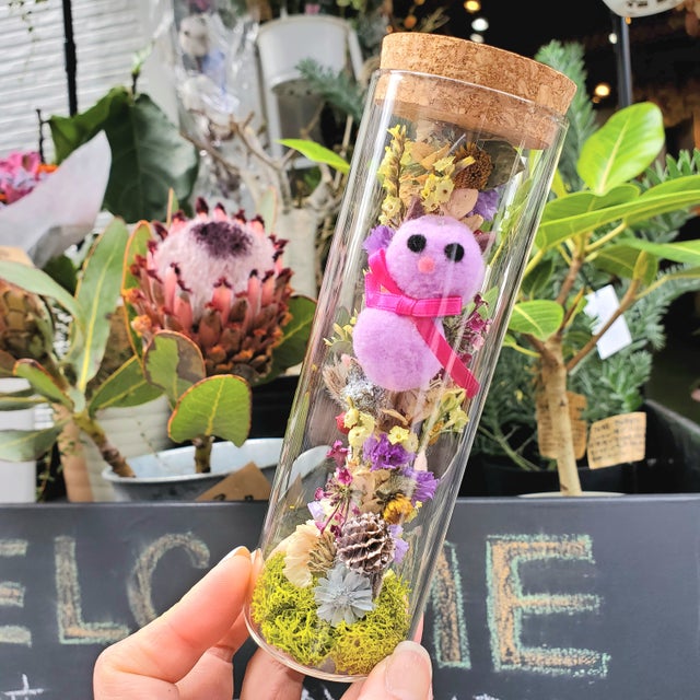 ドライフラワー | 猫花